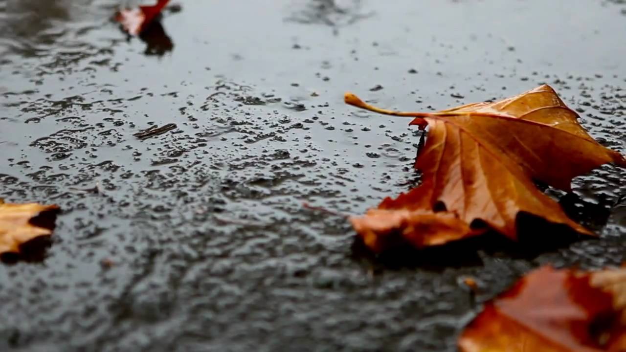 Debut de octombrie cu precipitații, în Dobrogea