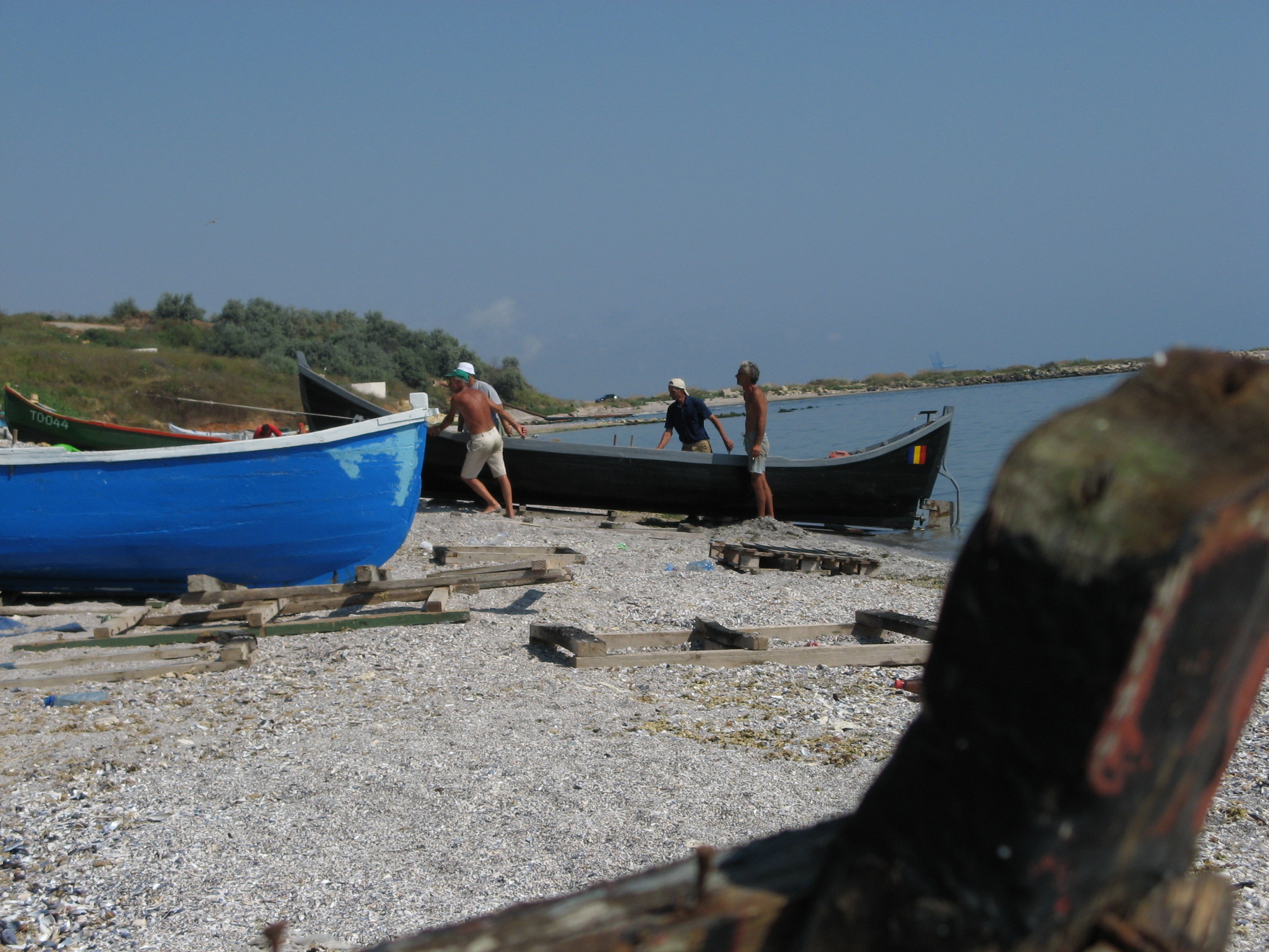 Situaţia pescuitului la Marea Neagră, dezbătută la Constanța în prezența europarlamentarului Norica Nicolai