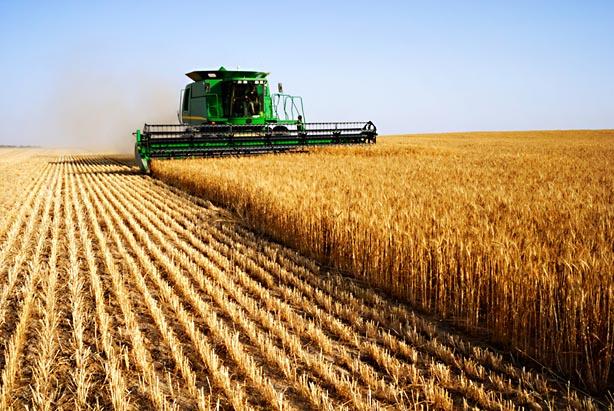 Consiliul Judeţean Tulcea vrea  să atragă sume de 10 ori mai mari din concesionarea terenurilor agricole