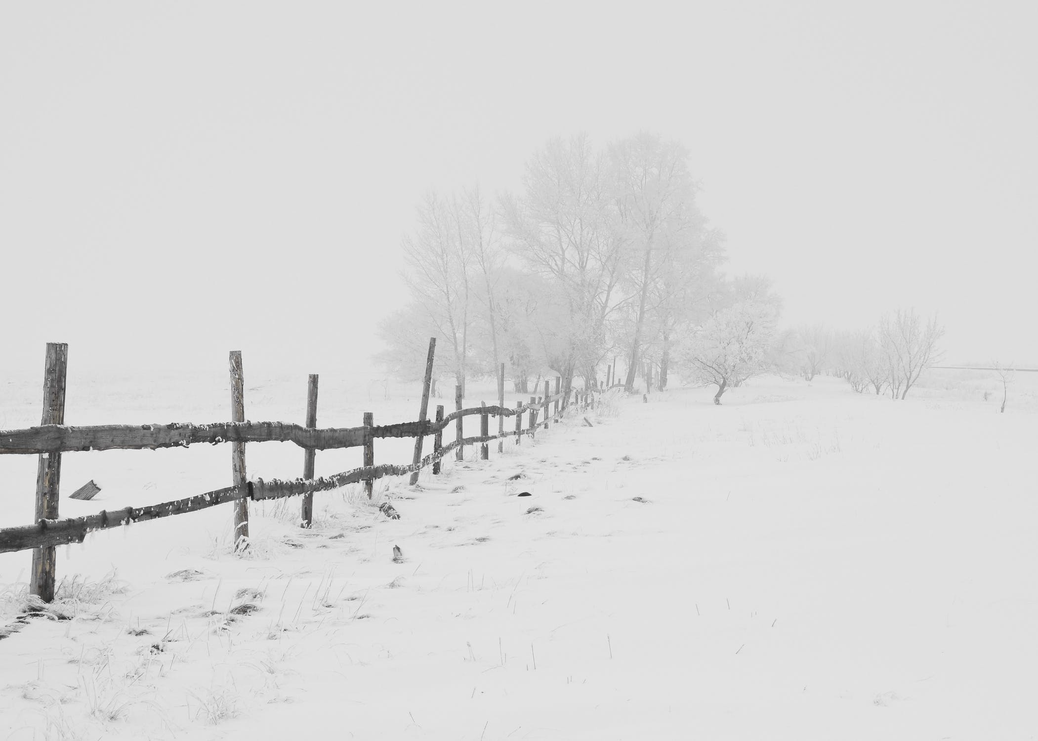 O nouă avertizare meteorologică! Cod galben de viscol puternic, pentru zona de munte