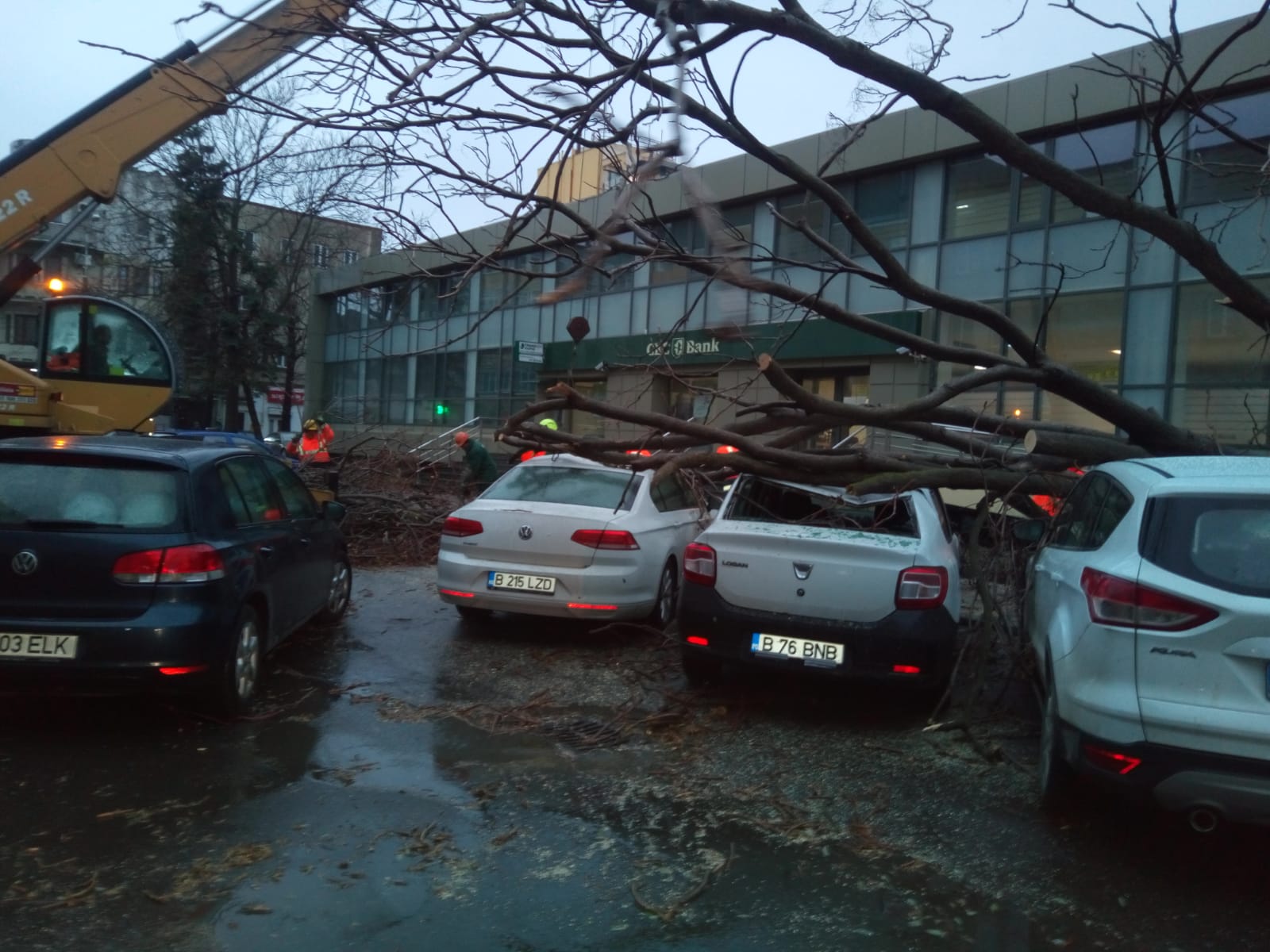 CONSTANȚA/FOTO: Mașini avariate de un copac doborât de vânt