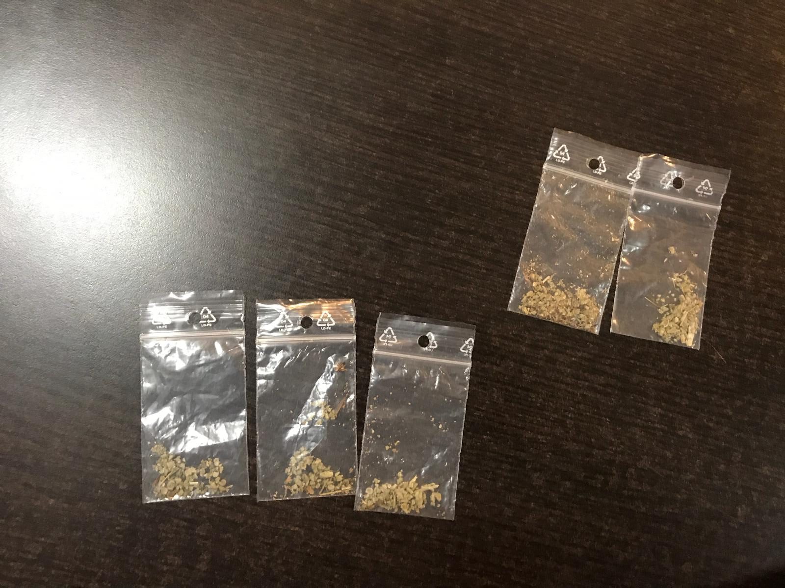 Constanța. Consumator de etnobotanice dat pe mâna poliției (video)