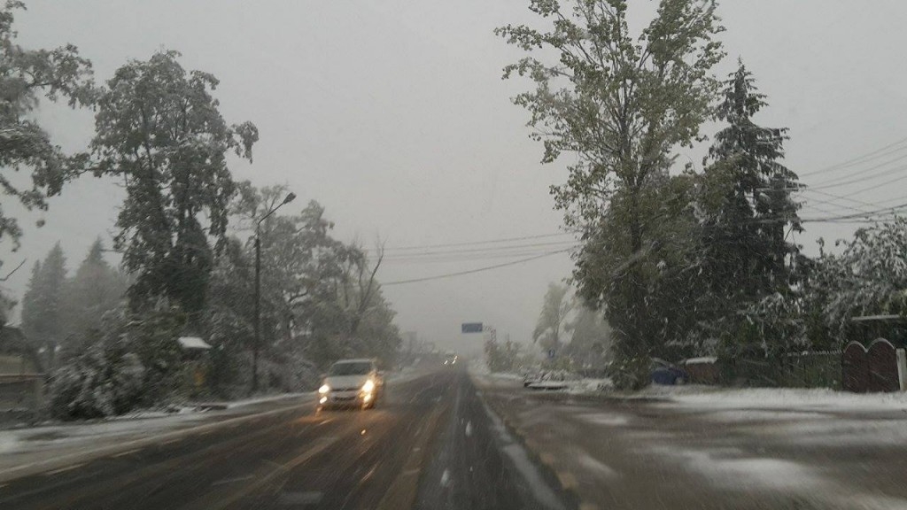 Ploi, lapoviță, polei și ninsori, în Dobrogea!