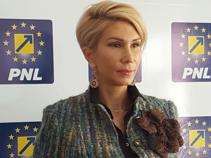 Turcan: Moţiunea de cenzură va fi depusă până la finalul acestui an