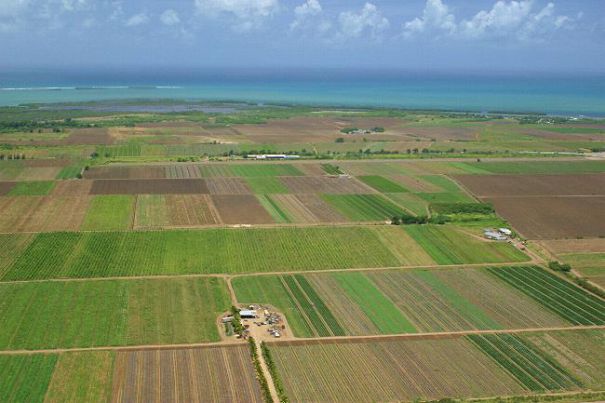 TULCEA: Interes mărit al investitorilor pentru amenajările agricole din Delta Dunării