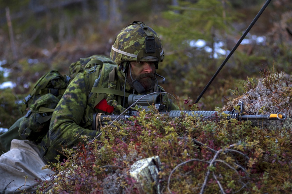 Rusia, preocupată de manevrele Trident Juncture şi de desfăşurările NATO în ţările baltice, România şi Polonia