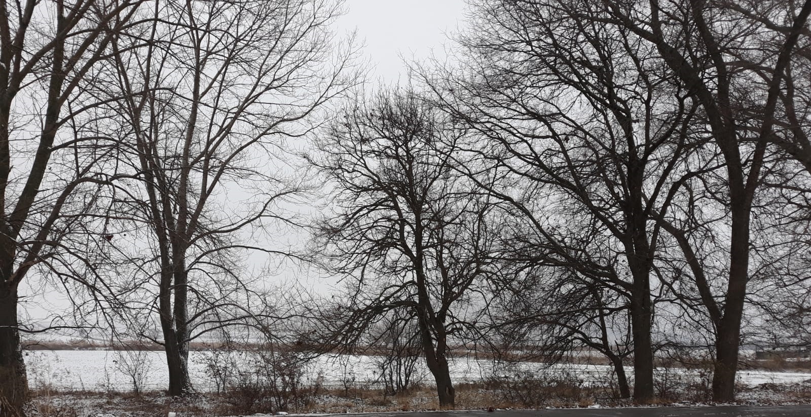 Vreme închisă în Dobrogea