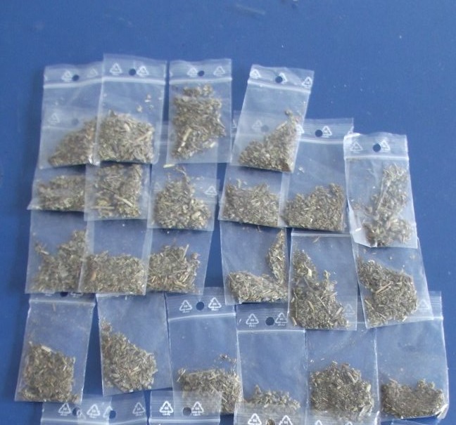 TULCEA: Consumul de etnobotanice pe locul al doilea în licee, după cel de cannabis