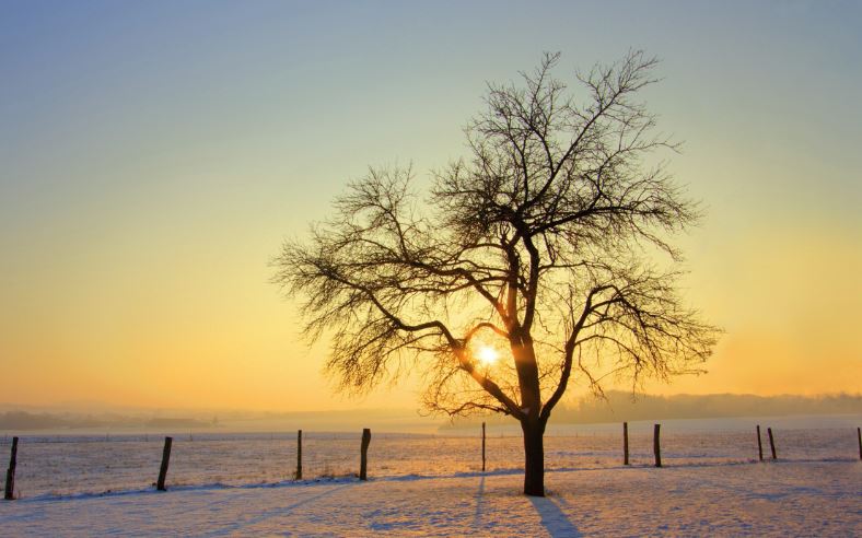 Vreme rece, dar normală termic în Dobrogea