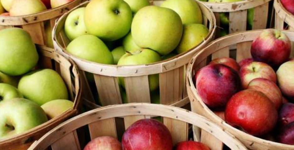 APIA: Obligațiile celor care au solicitat sprijin cuplat pentru fructe destinate industrializării