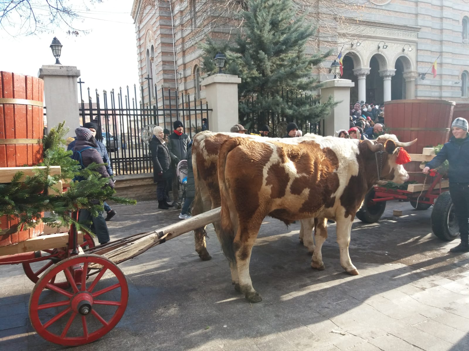 CONSTANȚA/FOTO: Bobotează la malul mării. Programul manifestărilor religioase