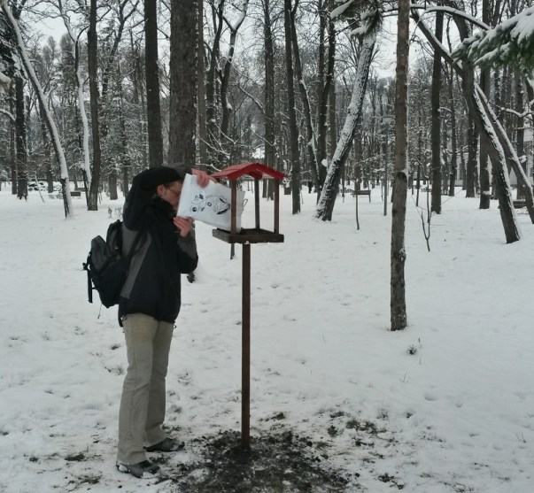 Sfaturi de la specialiști privind hrănirea păsărilor sălbatice în sezonul rece