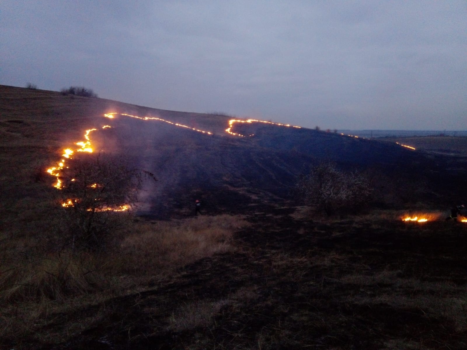 Incendii de vegetaţie în Grecia