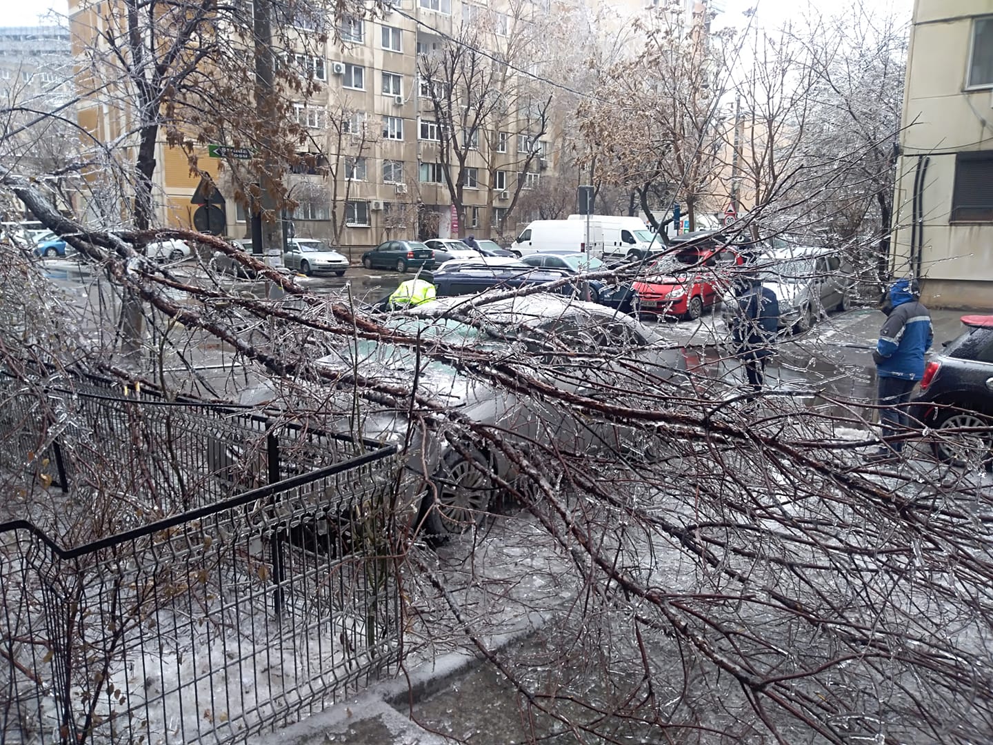 MAI: La nivel naţional, s-a intervenit pentru deblocarea a circa 30 de autovehicule şi degajarea a peste 800 de copaci