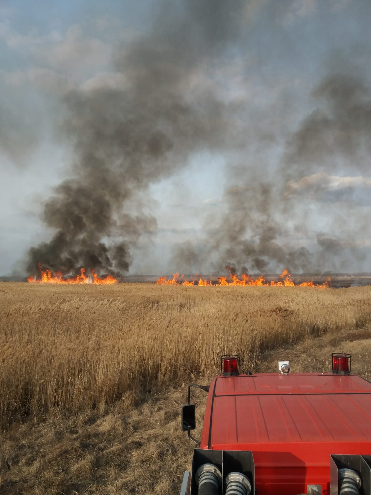 FOTO: Două incendii de vegetație stuficolă în județul TULCEA. Pericol de extindere la locuințele învecinate