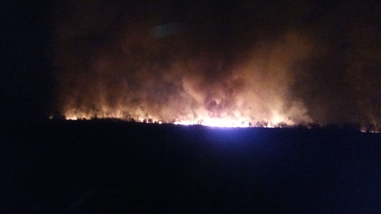 Județul TULCEA: Un incendiu a afectat o suprafață de aproximativ 1.500 de hectare de stuf și vegetație uscată