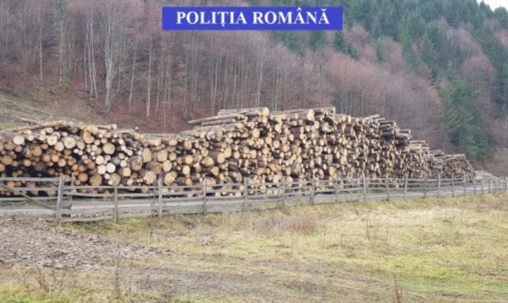 Amenzi de peste 29 de milioane de lei aplicate în 2018 pentru prevenirea şi combaterea tăierilor ilegale de arbori