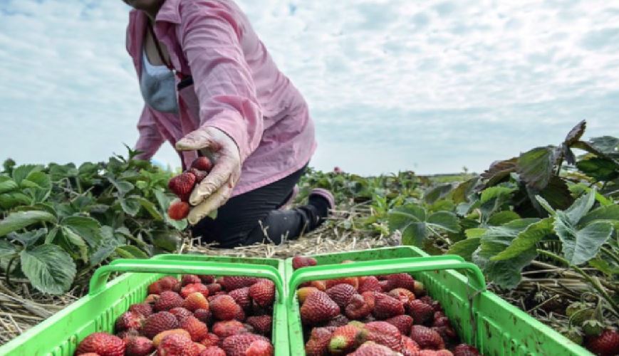 Sute de locuri de muncă disponibile pentru români în Spaţiul Economic European, cele mai multe în Spania