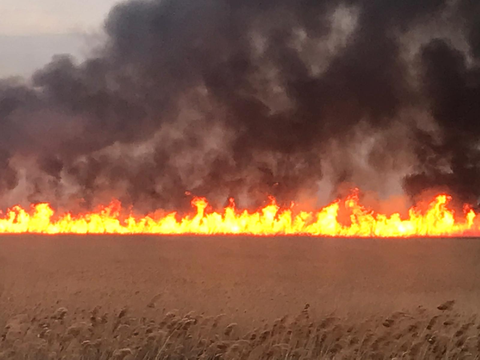 TULCEA: Gestionarea incendiului din satul Pătlăgeanca, verificată de Inspectoratul pentru Situaţii de Urgenţă Delta