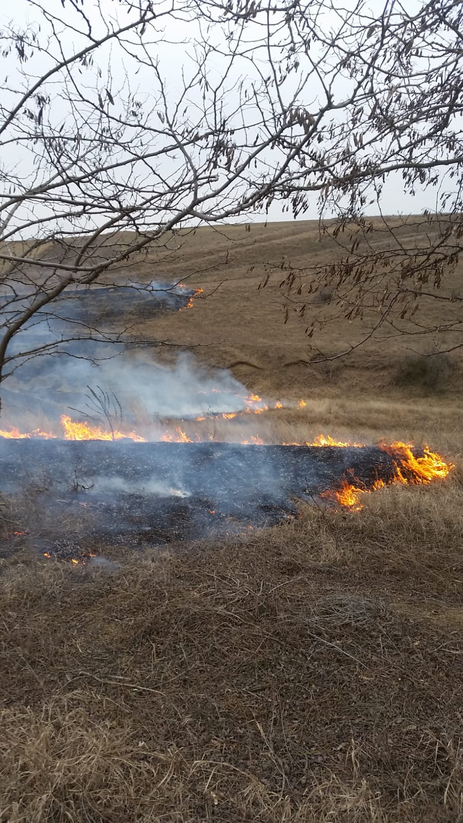 INFOTRAFIC: Circulaţie oprită pe sensul către Constanţa al autostrăzii A2 din cauza unui incendiu de vegetaţie