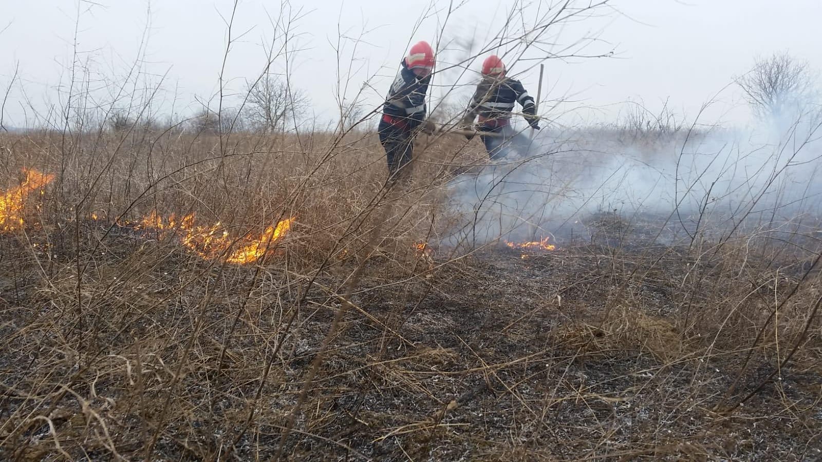 CONSTANŢA: Peste 200 de hectare de vegetaţie uscată, afectate de un incendiu în zona Vadu
