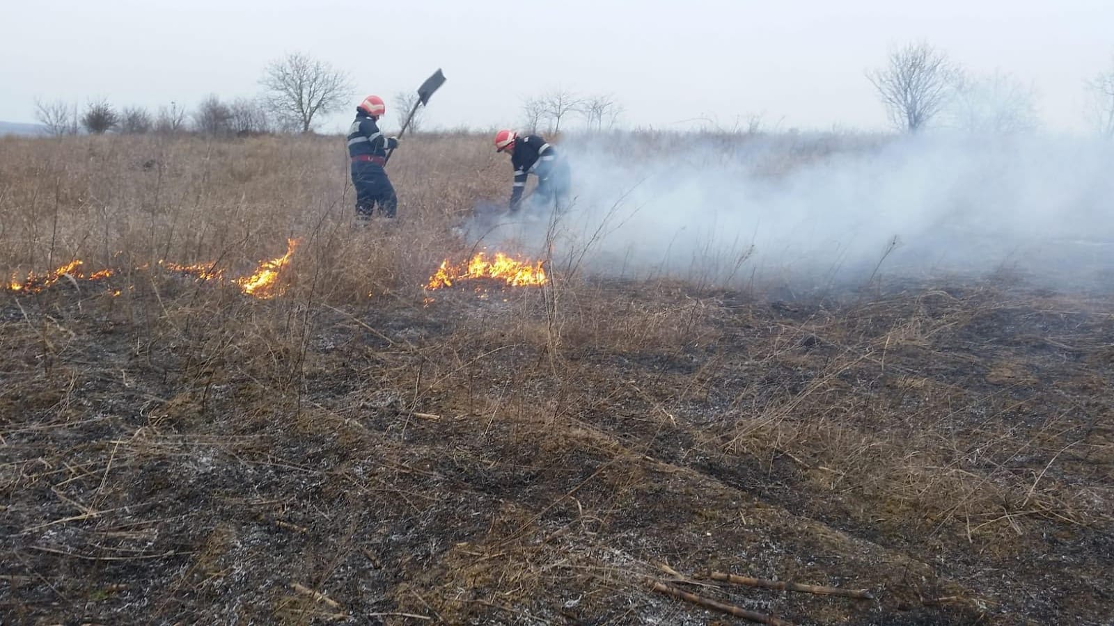 Incendiu de vegetație uscată pe A2