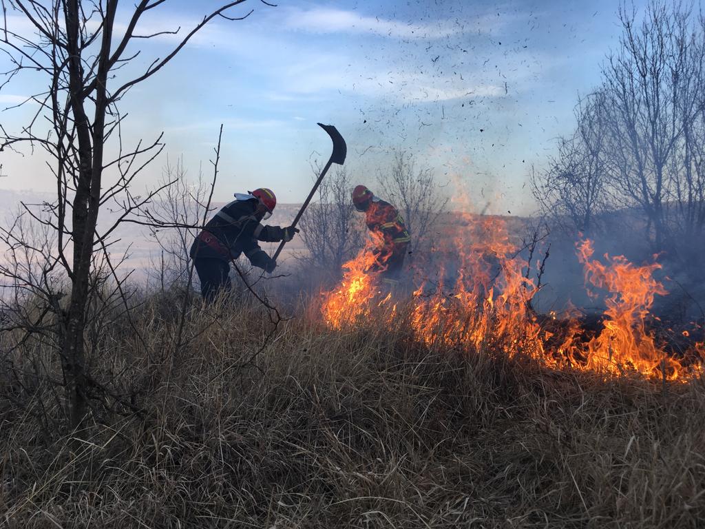 Incendiu puternic la Niculițel. Pericol de extindere în PĂDURE