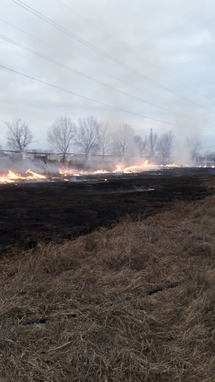 FOTO: Intervenție a pompierilor la Tulcea