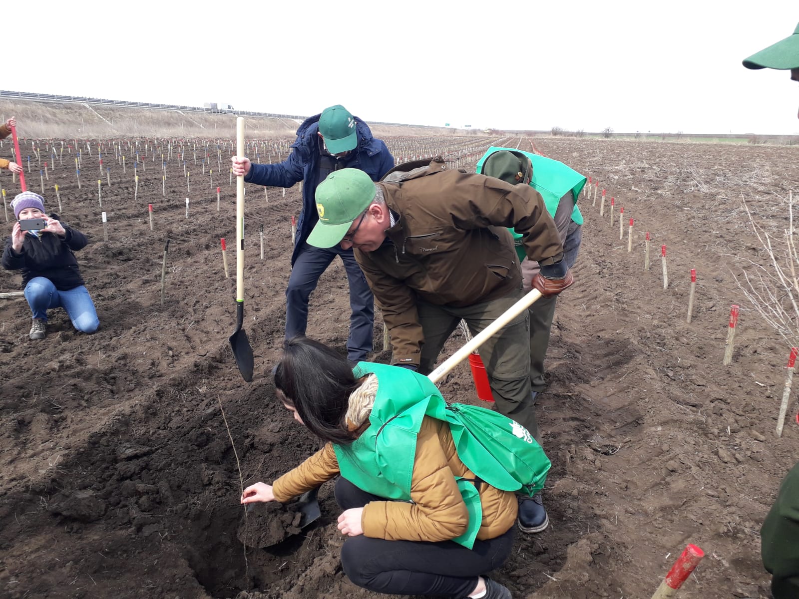 CONSTANȚA: Perdele forestiere pentru protecția Autostrăzii Soarelui. La acțiunea de plantare participă și ministrul Apelor și Pădurilor, Ioan Deneș