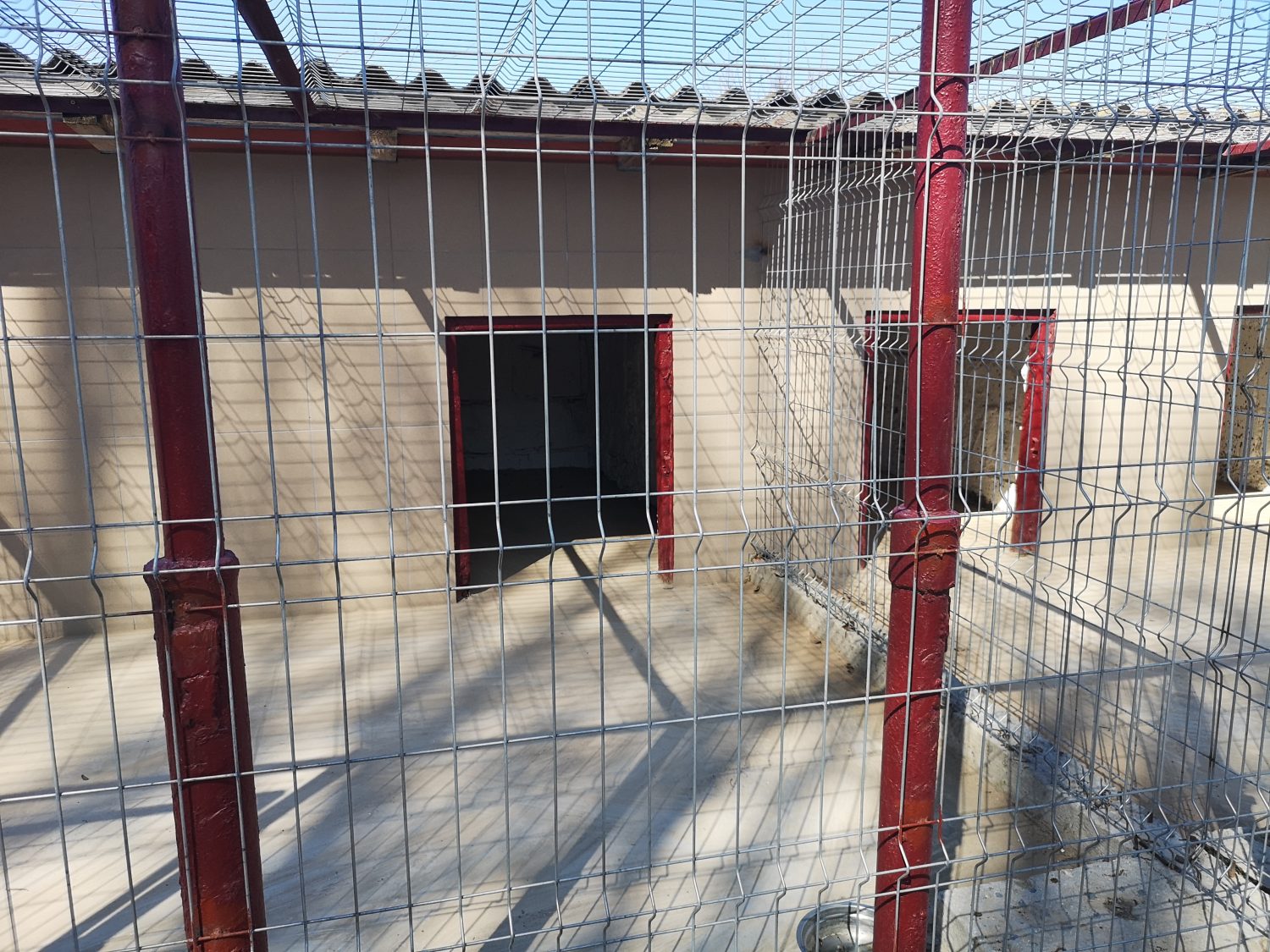CONSTANȚA/FOTO: Lucrările la adăpostul pentru câinii fără stăpân au fost finalizate