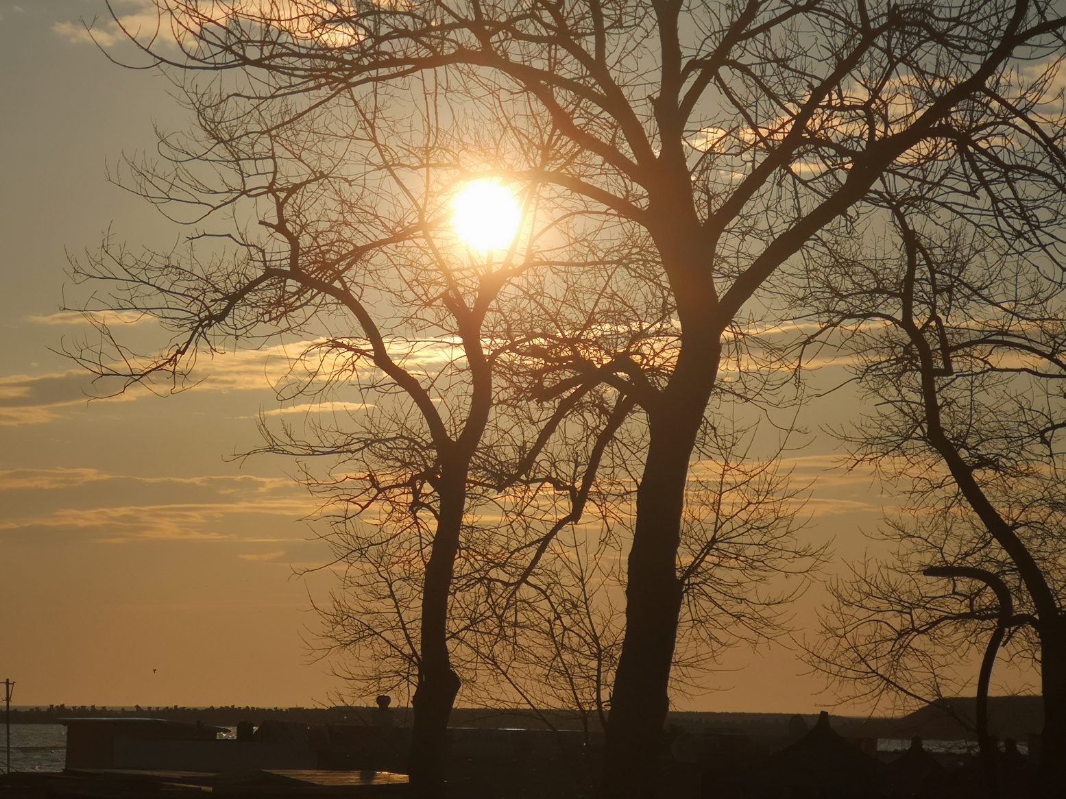 Vreme frumoasă în Dobrogea și pe litoral