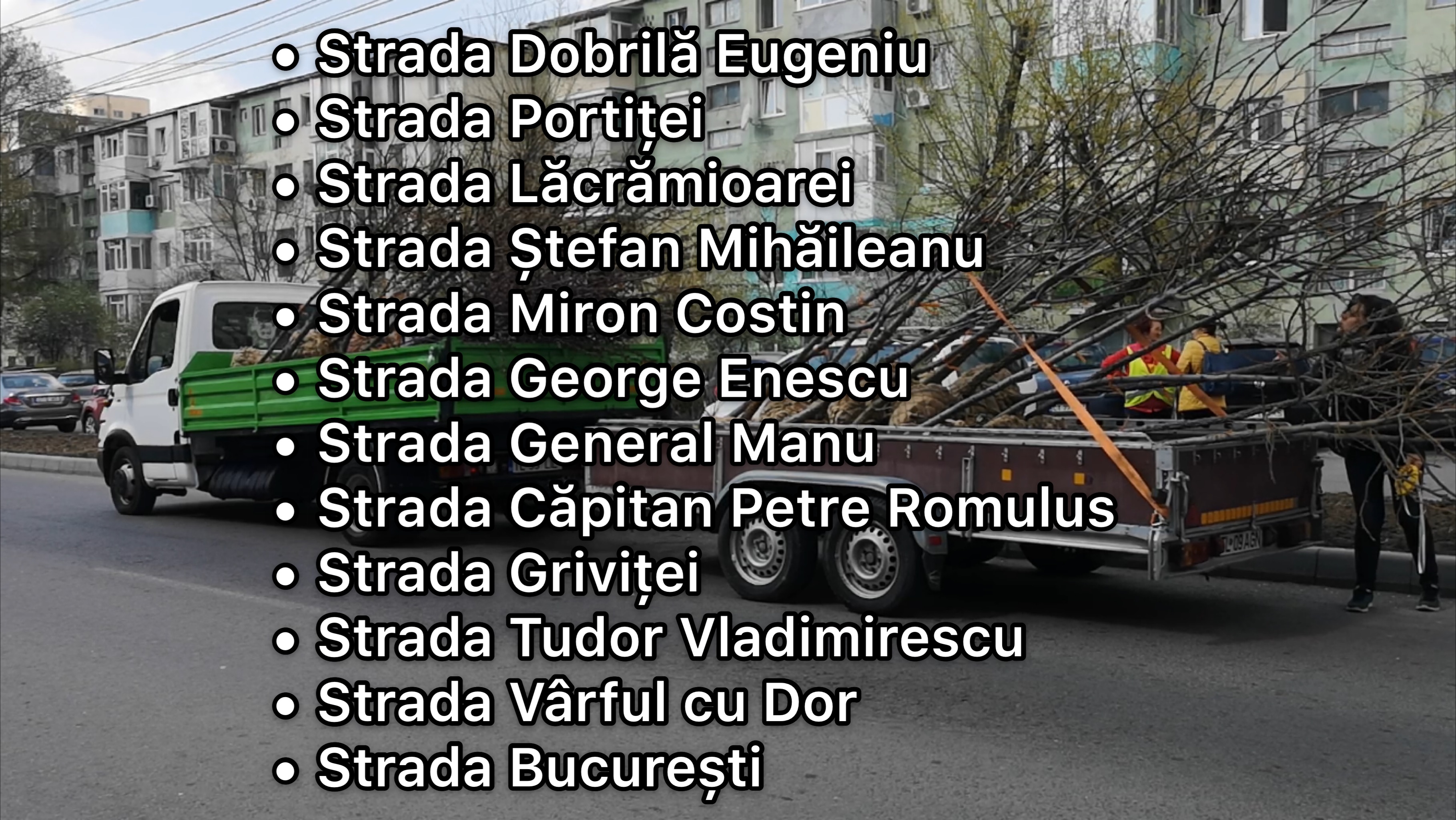 CONSTANȚA: Primăria continuă plantările de primăvară!