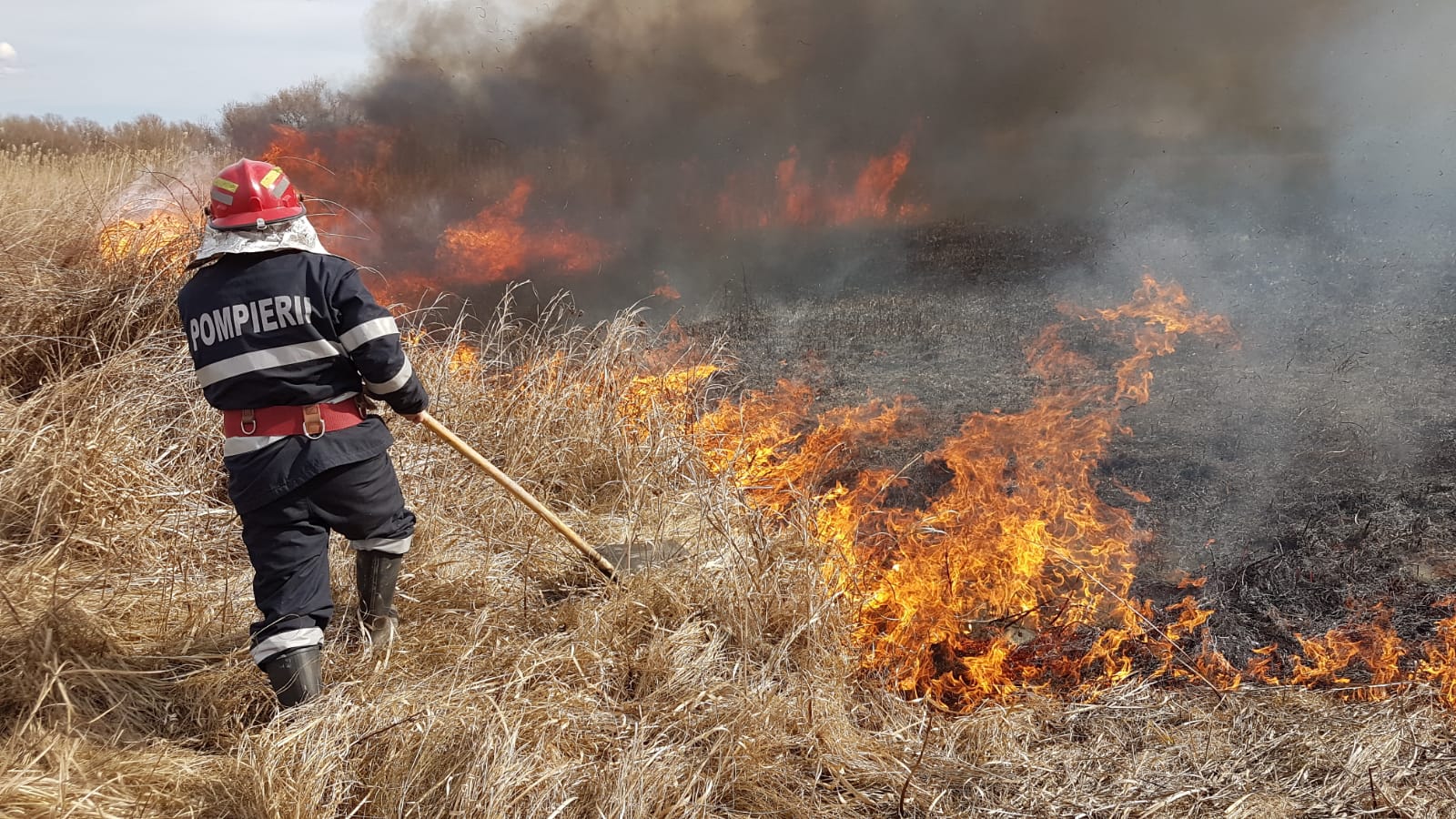 TULCEA: Peste 40 de hectare afectate de incendii într-o singură zi