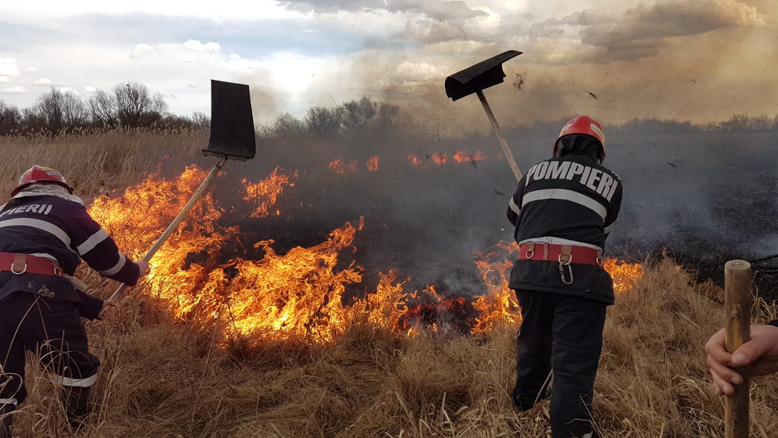 TULCEA/FOTO: Incendiu în Delta Dunării. Mai multe locuințe sunt în pericol