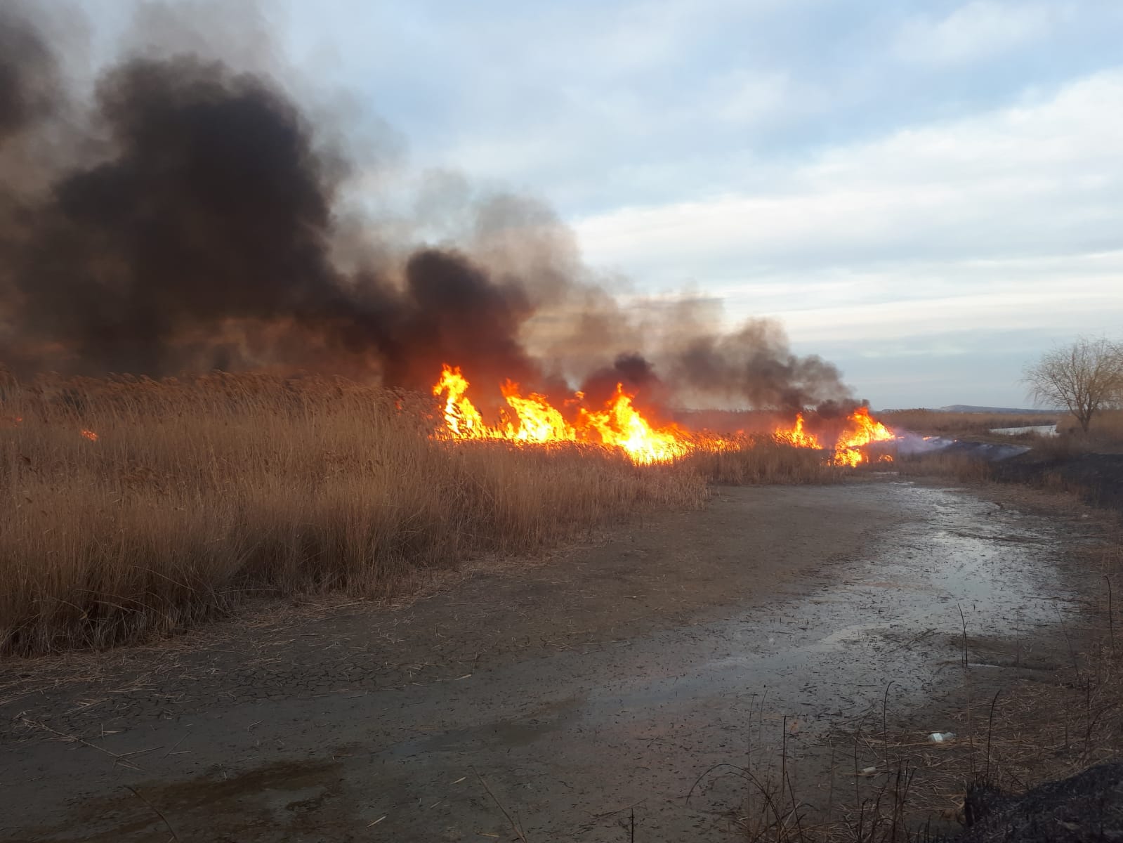TULCEA/FOTO: Opt incendii, peste 2.500 de hectare afectate în doar câteva ore
