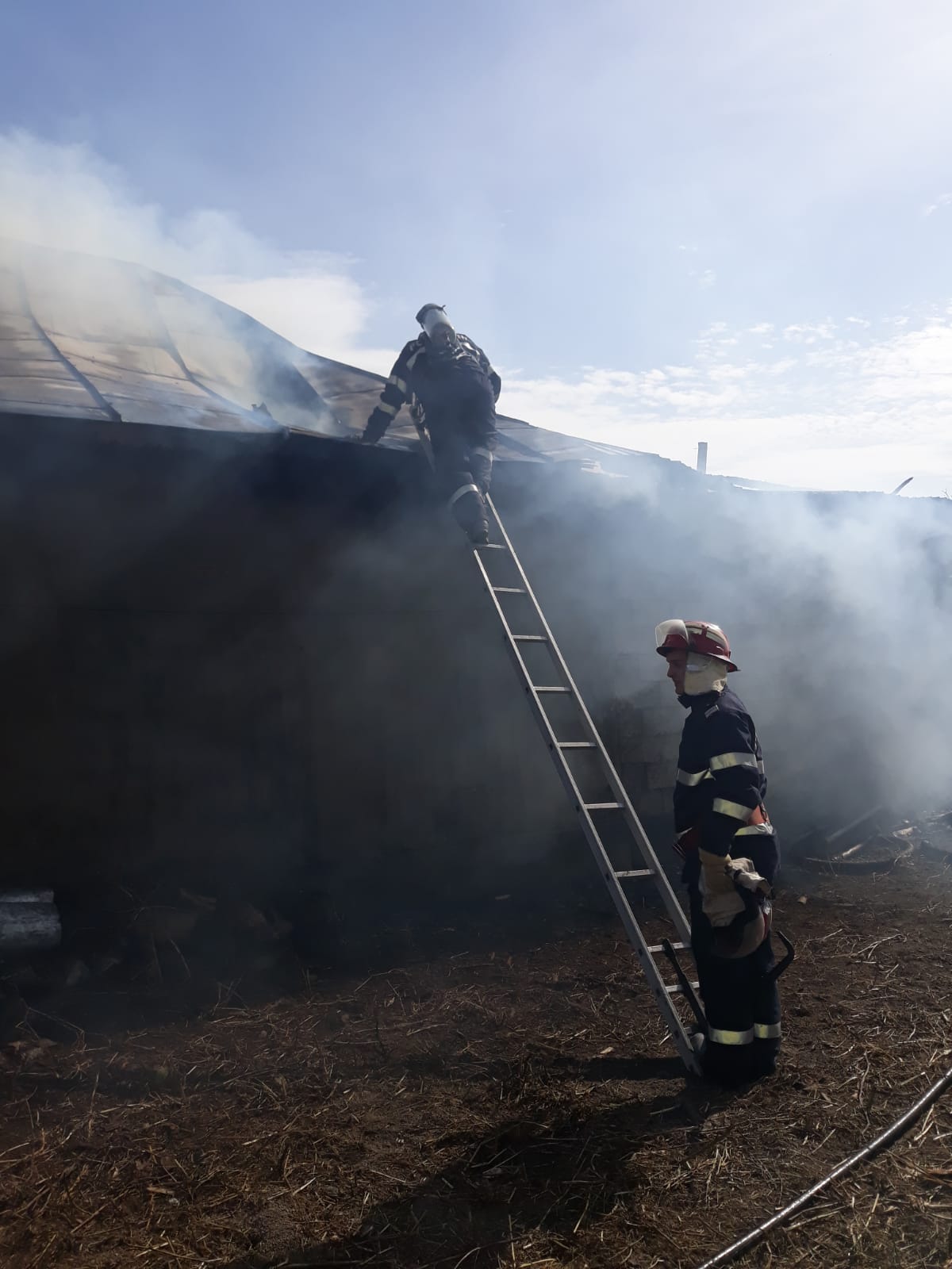 TULCEA/FOTO: Casă cuprinsă de foc de la un incendiu de vegetație