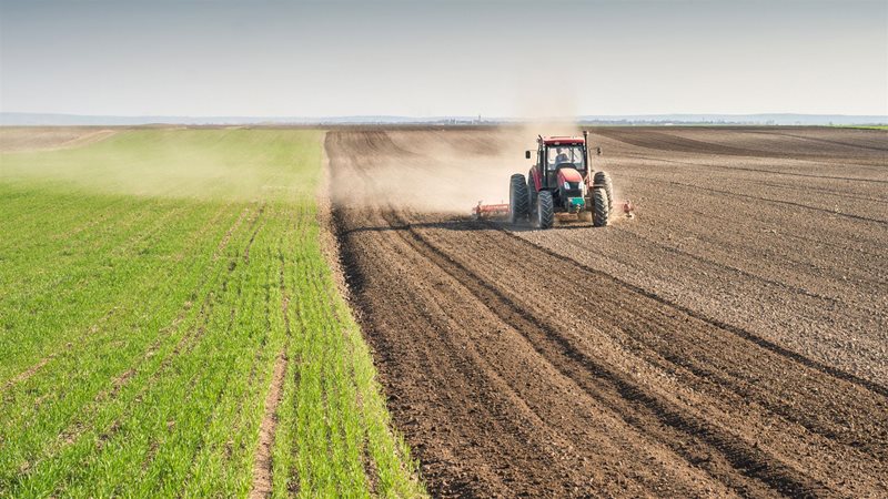 TULCEA: Administraţia judeţeană are aproape 80 de litigii cu concesionarii amenajărilor agricole din Deltă