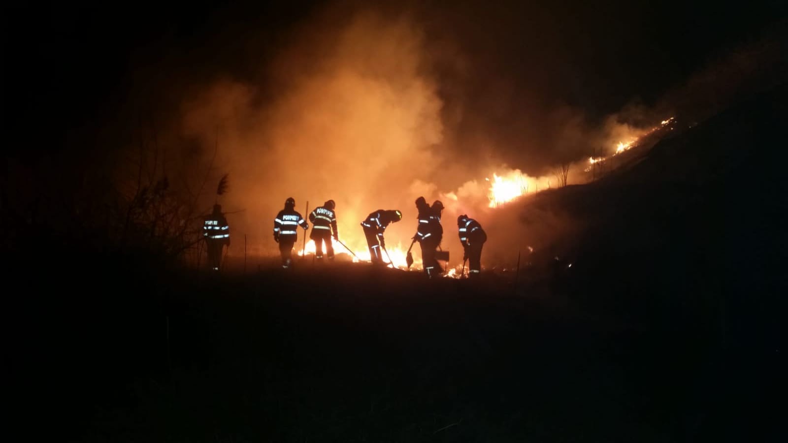 Incendiu de PROPORŢII în judeţul Tulcea! FOTO