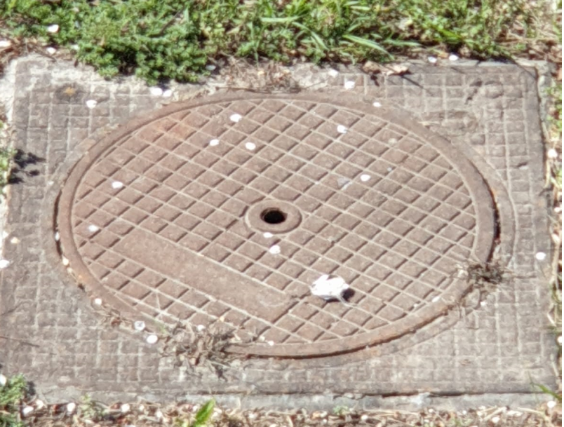 TULCEA: Sprijin pentru persoanele care vor să se racordeze la reţelele de canalizare