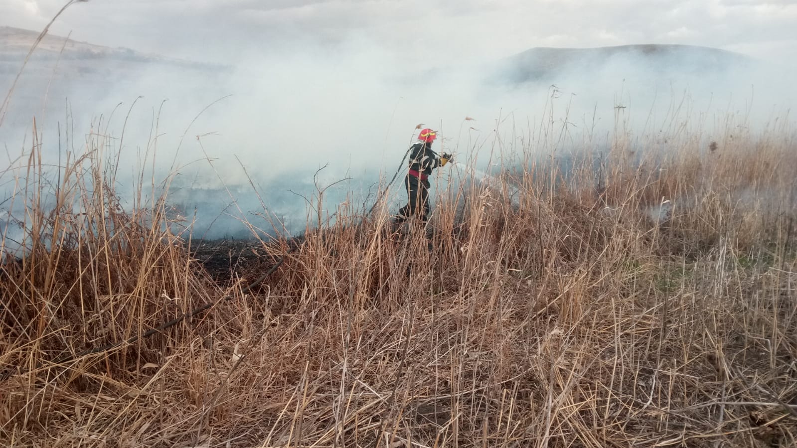 Un nou incendiu de vegetație uscată în județul Tulcea FOTO