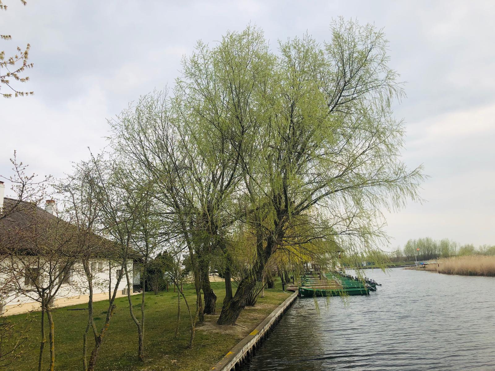 Sezonul turistic dobrogean a început în Delta Dunării