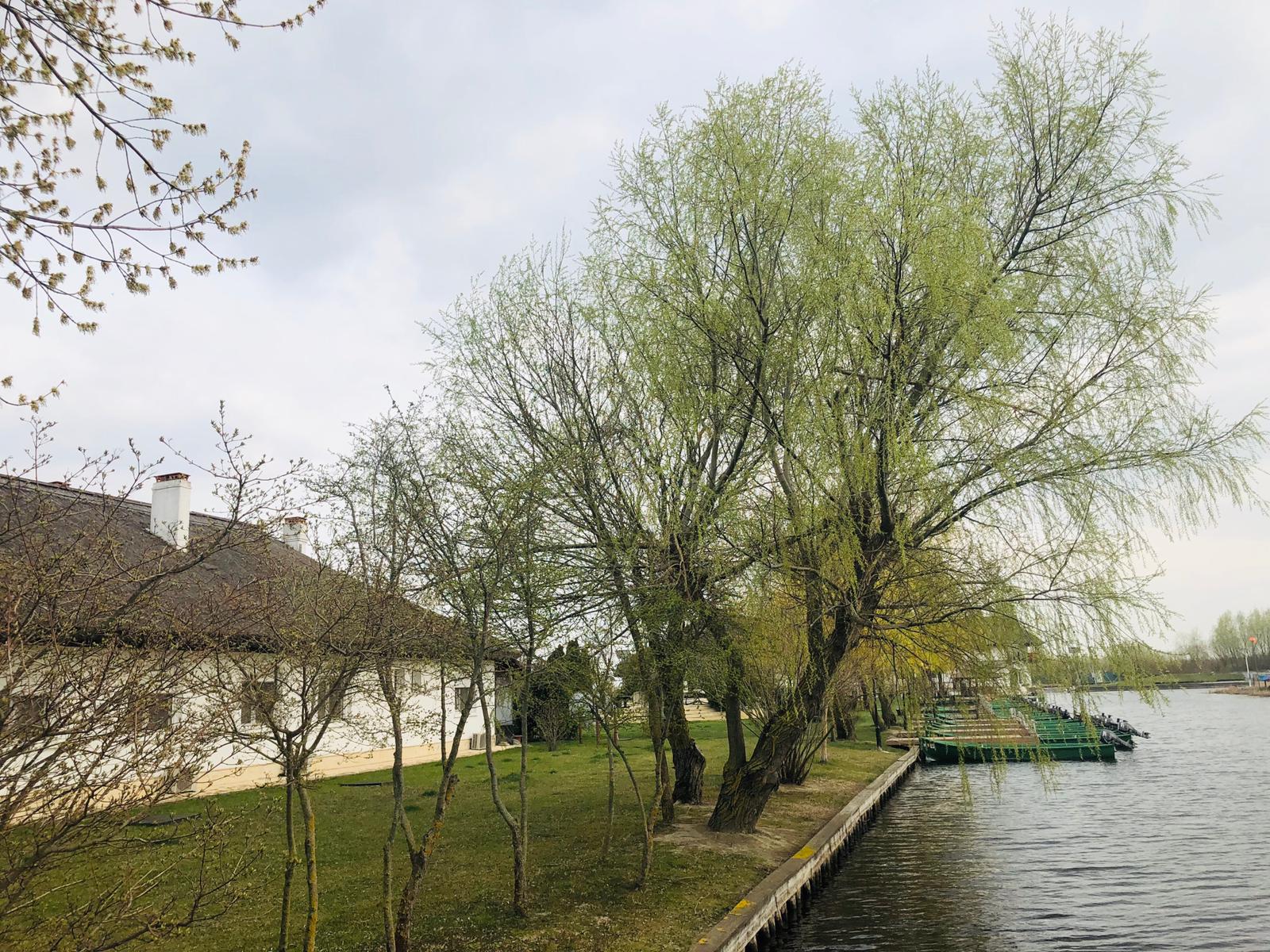TULCEA: Bani pentru cei care își amenajează o cameră din locuința proprie pentru turiști