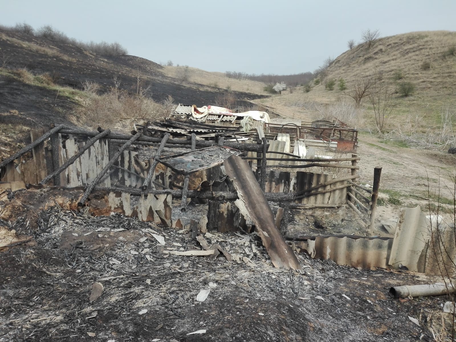 FOTO Incendiu puternic lângă Hârșova! Au ars zeci de hectare de vegetație uscată și lizieră