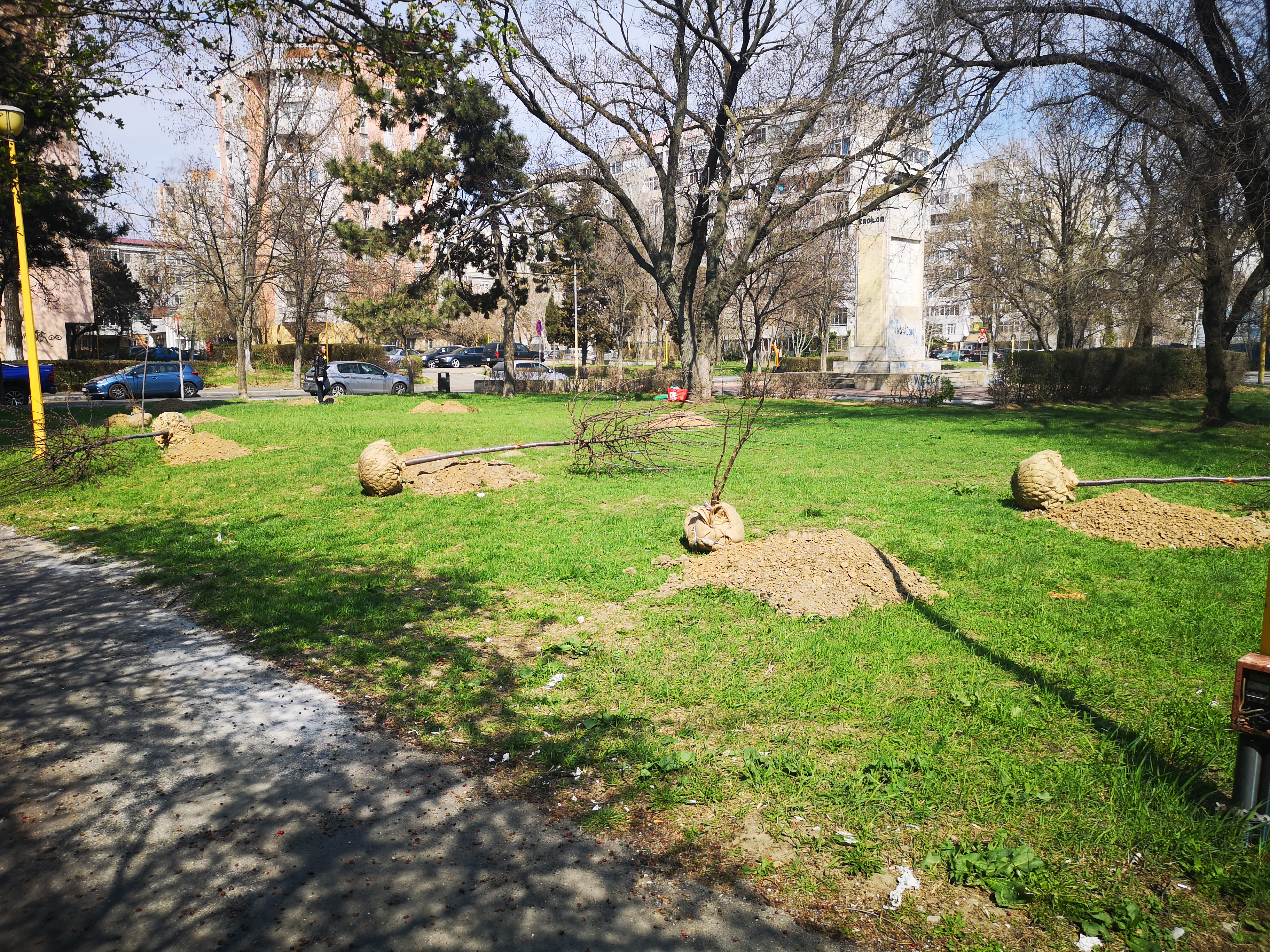 CONSTANȚA: Primăria Municipiului a început plantările de primăvară!