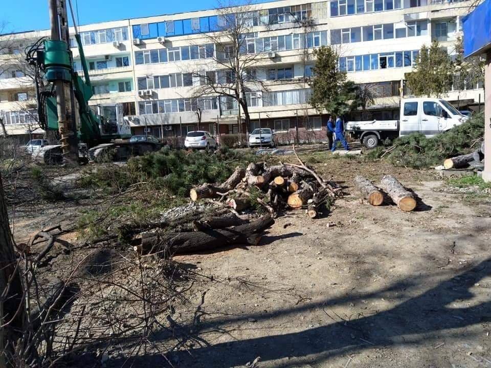 CONSTANȚA: Protest față de distrugerea spațiului verde din oraș