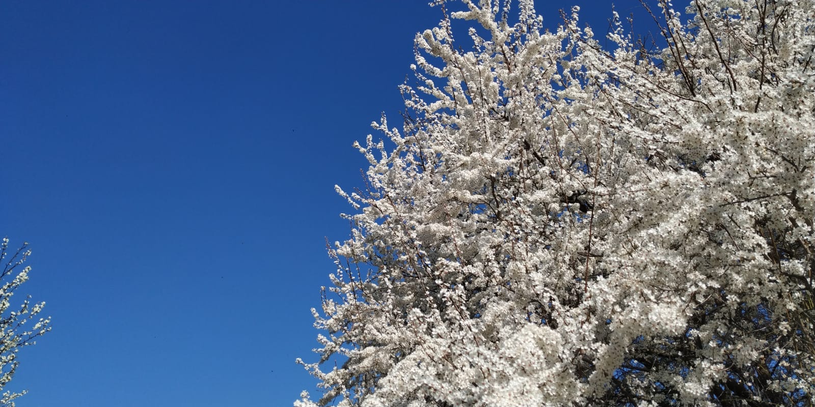 Vreme frumoasă în Dobrogea