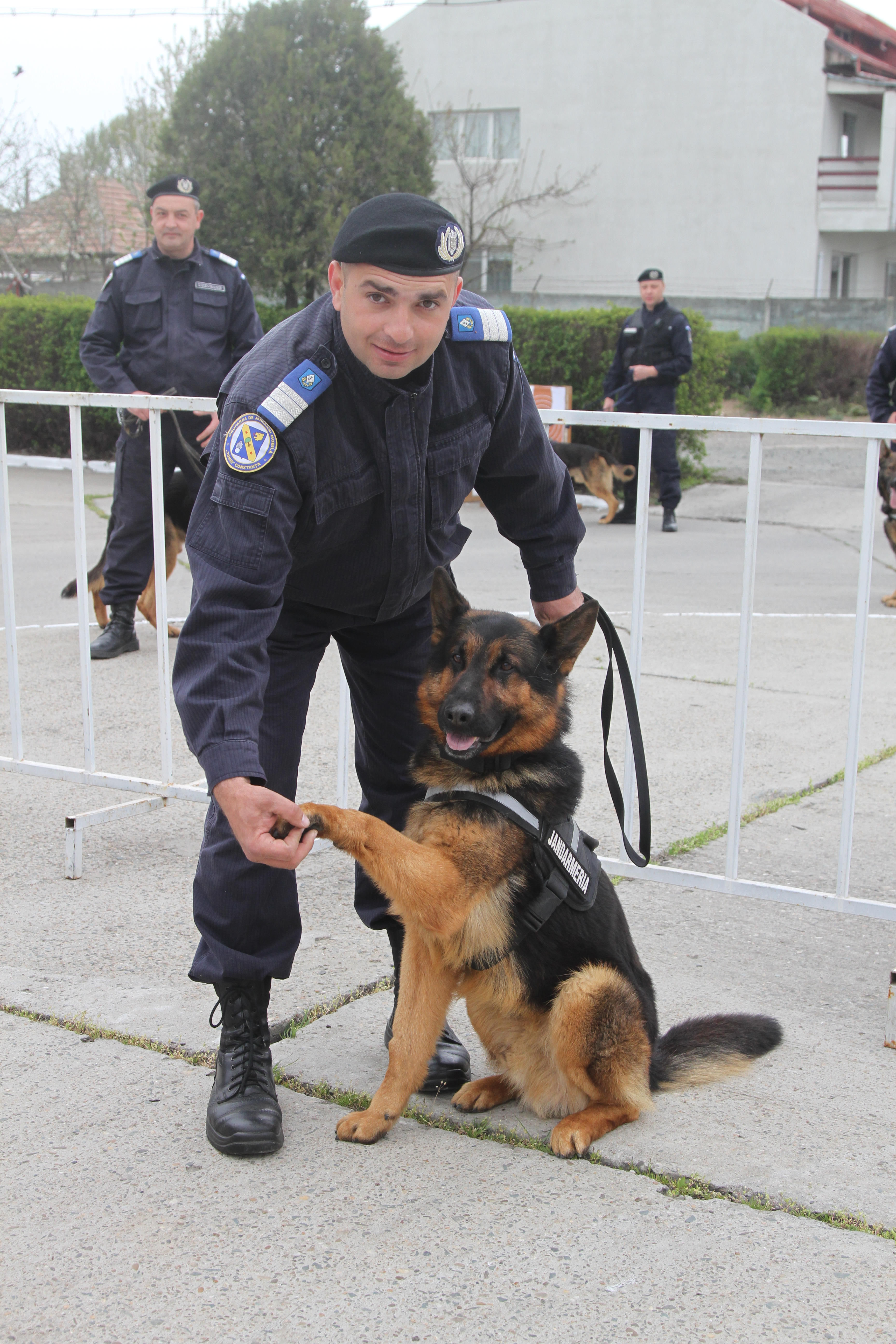 CONSTANŢA/FOTO: Ziua Porţilor Deschise, la Gruparea de Jandarmi Mobilă ‚‚Tomis’’