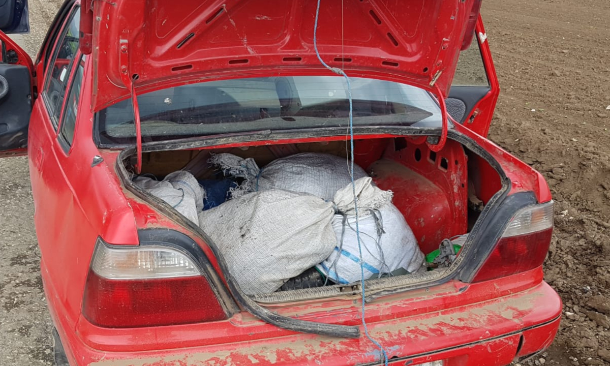Plase de pescuit și aproximativ 100 kg de peşte fără documente legale, confiscate de poliţiştii de frontieră
