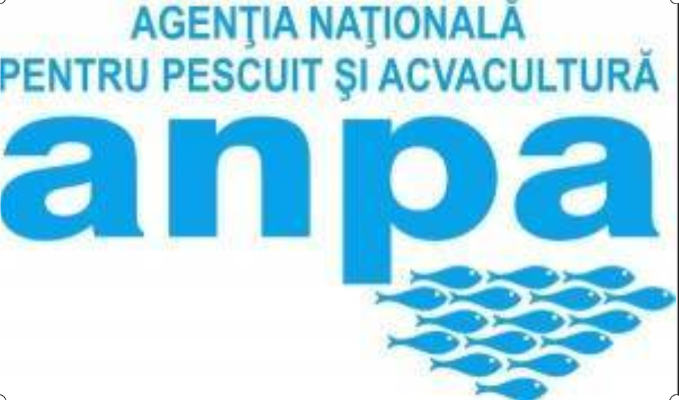 ANPA va emite trei tipuri de premise pentru pescuit recreativ