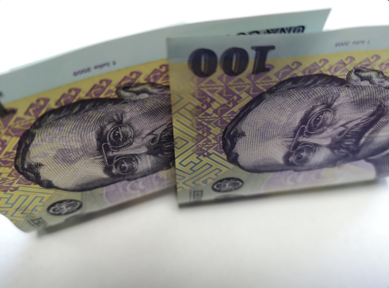 Cererile pentru amânarea ratelor la bănci vor putea fi depuse în 45 de zile de la intrarea în vigoare a Ordonanţei